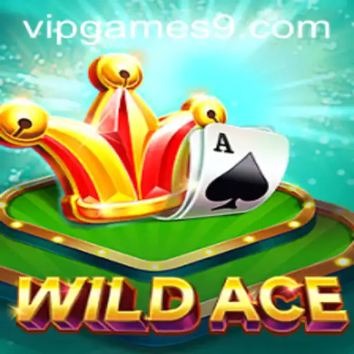 Discovering WildAce: A VIP Game Experience